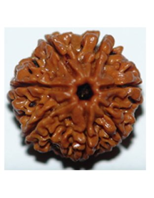 sevenmukhi