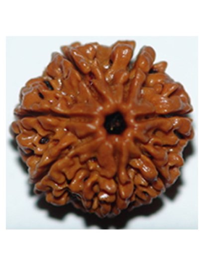 sevenmukhi
