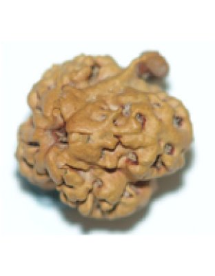 Nirakarganesh