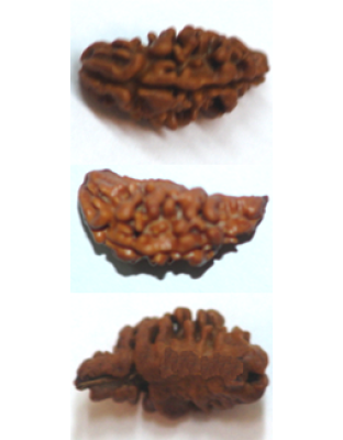 HalfMoon Shape Nepali One Face