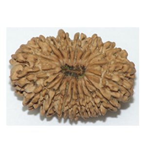 nineteenmukhi