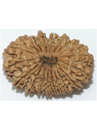 nineteenmukhi