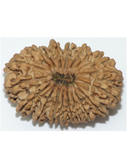 nineteenmukhi