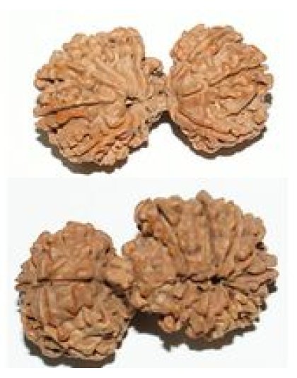 14mukhigaurishanakr