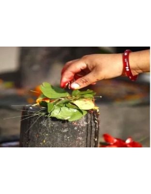 Offer Belpatra to Pashupainath Every Monday