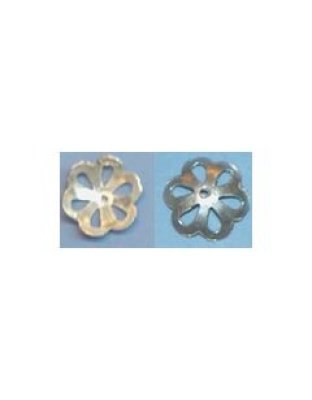 silvercap1