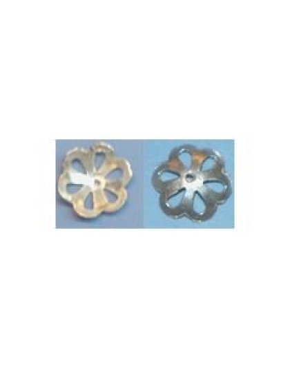 silvercap1