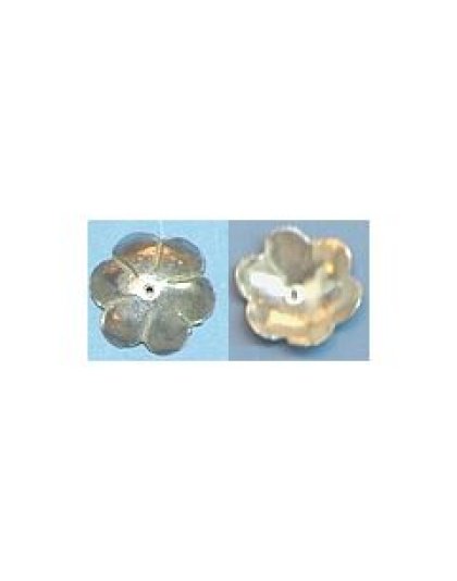 silvercaps
