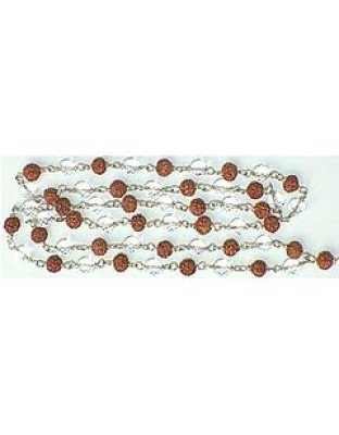 rudrakshaspaticinsilver