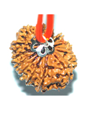 11mukhi