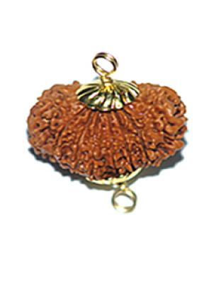 12mukhi