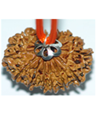 13mukhi