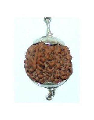 7mukhi