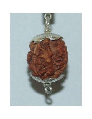 threemukhi