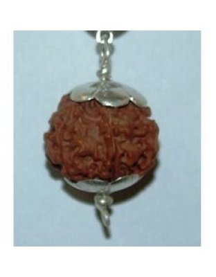 fivemukhi