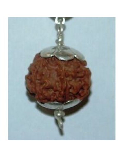 fivemukhi