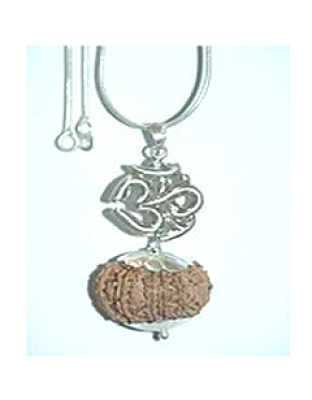 14mukhi
