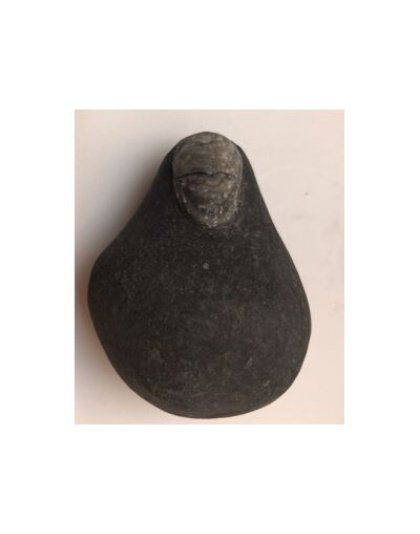 Shree_kailashmanosarovar_Shivanetra_Shaligram
