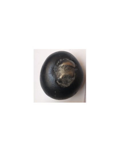 Shree_Golden_Dhanurdhari_Arjuna_Shaligram