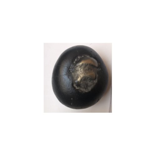 Shree_Golden_Dhanurdhari_Arjuna_Shaligram