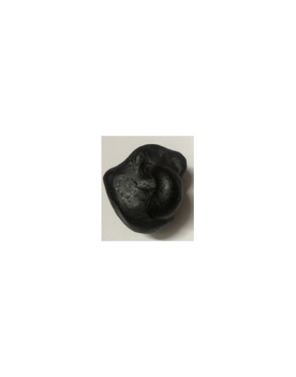 Shree_Vikunthnath_Kalpavriksha_Mahalakshmi_Shaligram