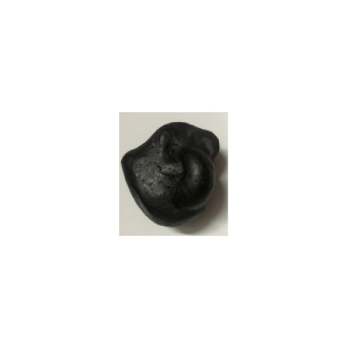 Shree_Vikunthnath_Kalpavriksha_Mahalakshmi_Shaligram