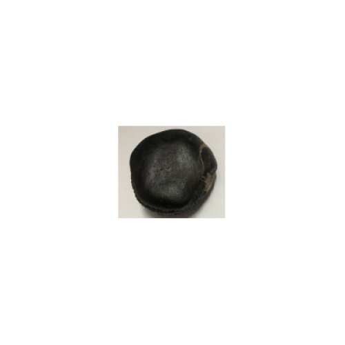 Shree_kailash_Sridhar_Samudra_lakshmi_shaligram