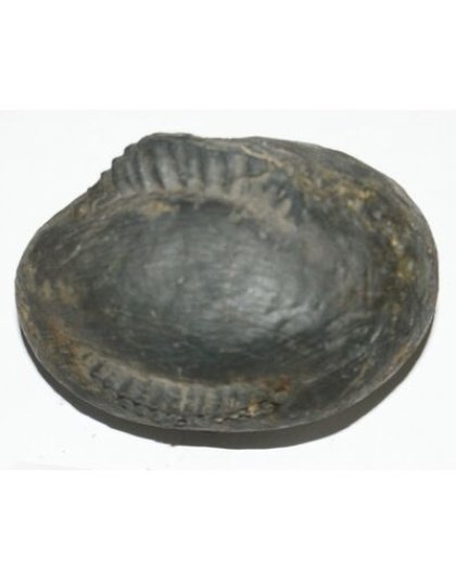 Shree_Sacred_Siddhartha