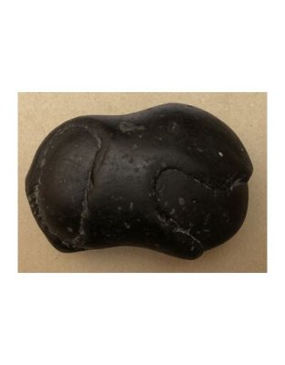 Shree_Lakshmi_Achyuta_Narayan_Shaligram