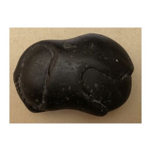 Shree_Lakshmi_Achyuta_Narayan_Shaligram