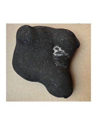 Shree_Lakshmi_Harideva_Gopal_Shaligram