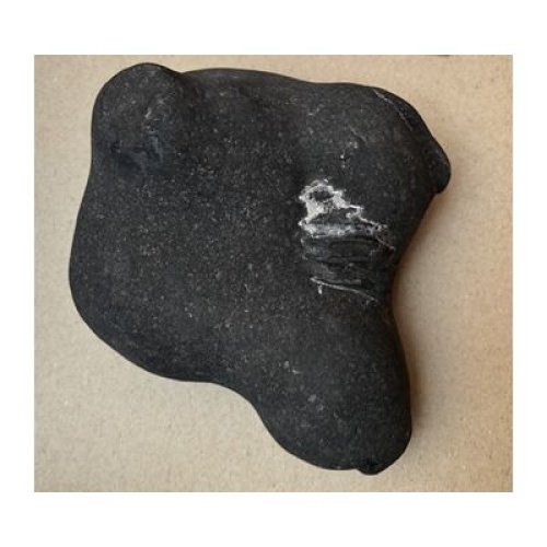 Shree_Lakshmi_Harideva_Gopal_Shaligram