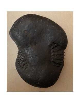 Shree_Kedarnath_Lakshmideva_Shaligram