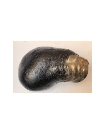 Shree_Adhbut_Golden_Narshima_Pralhad_Shaligram