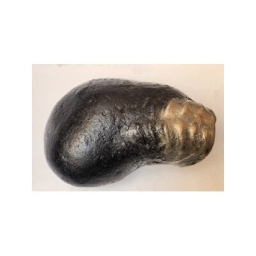 Shree_Adhbut_Golden_Narshima_Pralhad_Shaligram