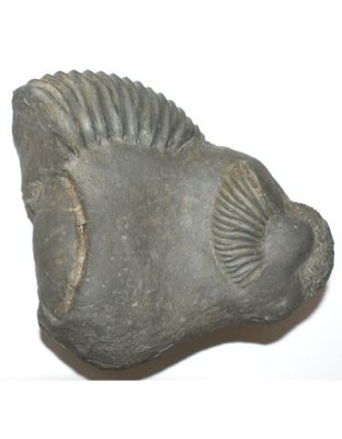 Shree_Sacred_Kamalnarayan_Vaikuntha