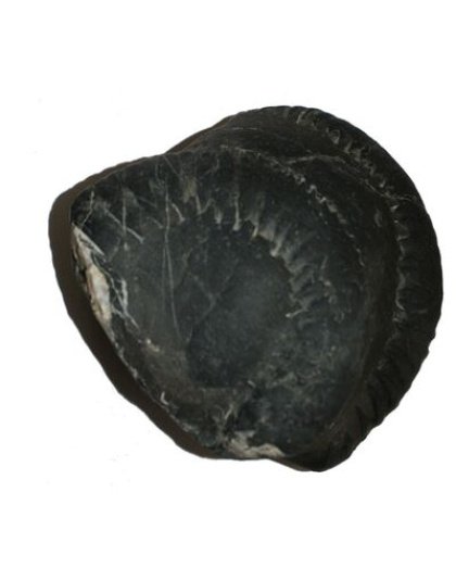 Shree_Sacred_Sweta_Shesha_Lakshmi_Suryanarayan