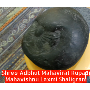 Shree_Adhbhut_Mahavirat_Rupam_Mahavishnu_Lakshmi