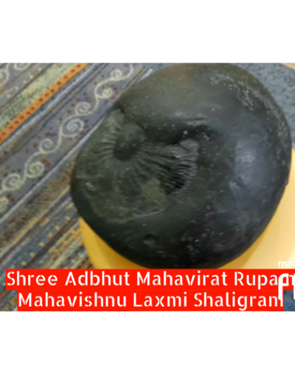 Shree_Adhbhut_Mahavirat_Rupam_Mahavishnu_Lakshmi