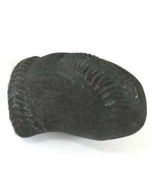 Shree_Sacred_Hari_Laxmi