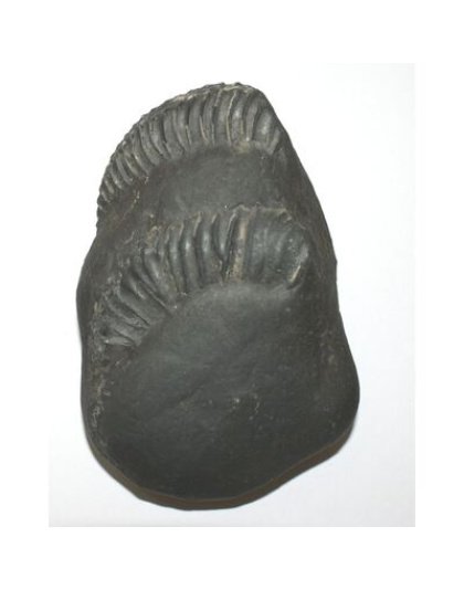 Shree_Sacred_Kedarnath_Mahavishnu_Laxmi