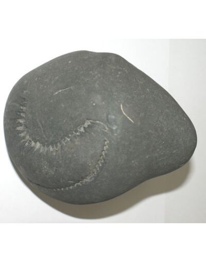 Shree_Sacred_Sarpadhari_Krishna