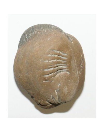 shree_sacred_chakradhari_agninarayan