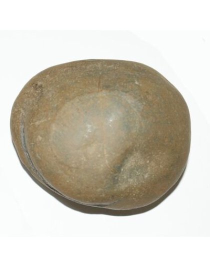 Shree_Sacred_Surya_Mahaagni_Mahavishnu_Laxmi