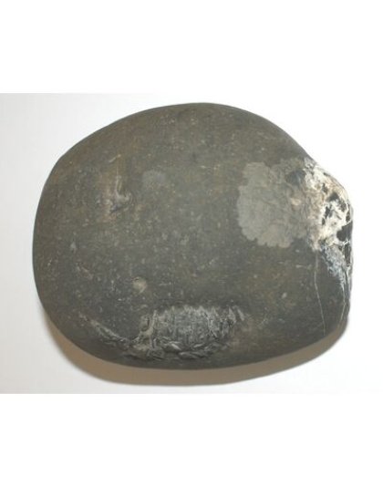 Shree_Sacred_Sweta_Sridhara_Jagannath_Sheshanag_Mahavishnu