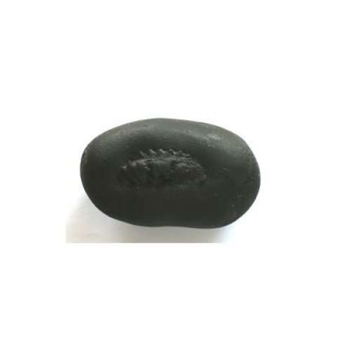 kurma