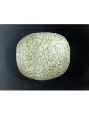 Adwitiya_Salpa_Vishnu_Shaligram