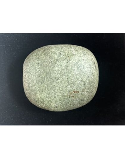 Adwitiya_Salpa_Vishnu_Shaligram