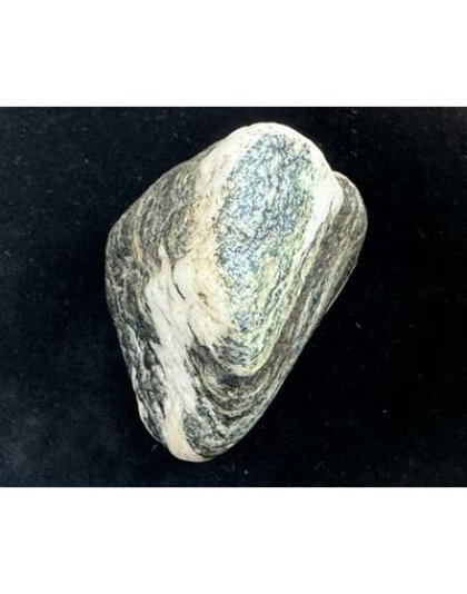 Sarvottam_Sheshnagdhari_Kailash_Vishnu_Shaliram