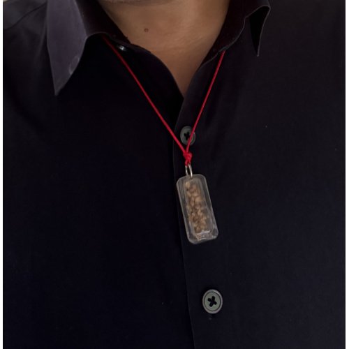 Tulasi Wealth Kavach